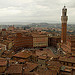 Siena