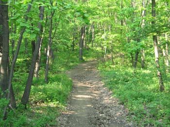 fruskagora