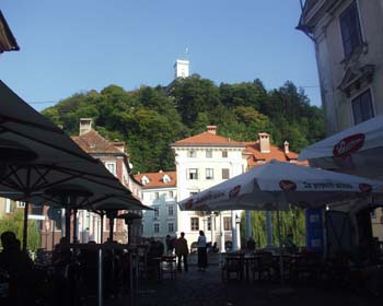 kafe
